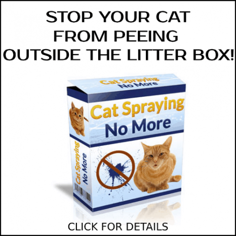 Number one deterrent to stop cats fouling in your garden - 'works within three hours'